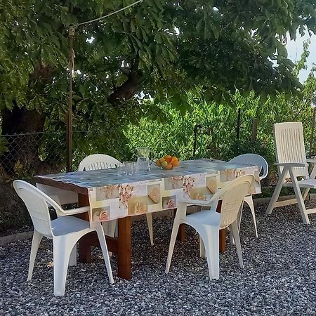Appartamento Bellavista Castellina Marittima Exterior foto