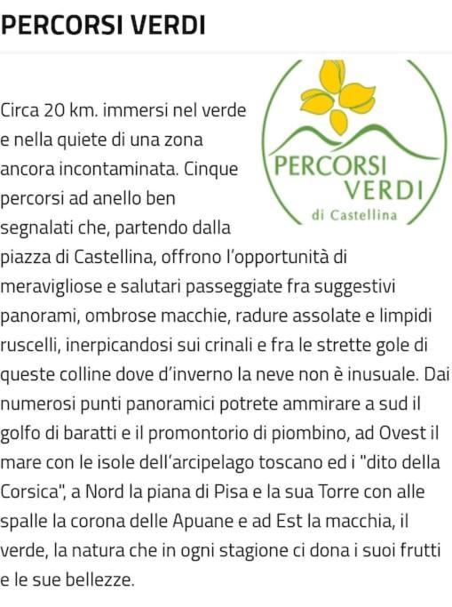 Appartamento Bellavista Castellina Marittima Exterior foto